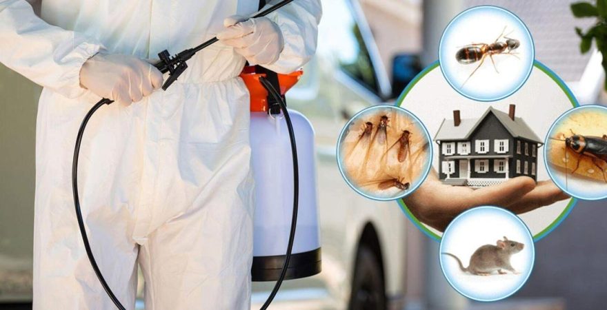 Hayrabolu Böcek İlaçlama