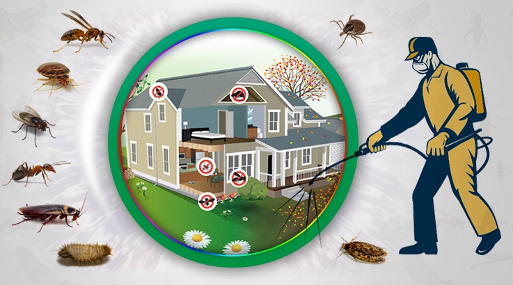 Hayrabolu Böcek İlaçlama