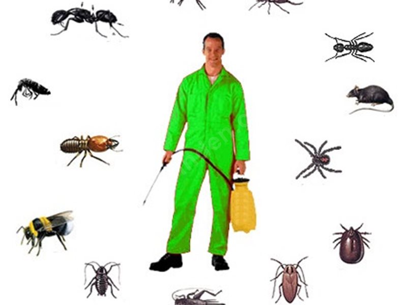 Hayrabolu Böcek İlaçlama